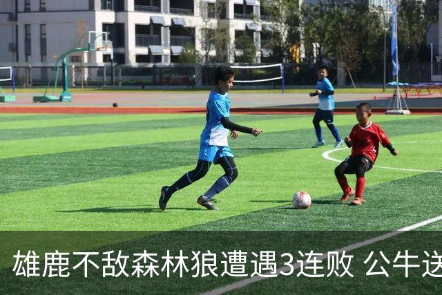 雄鹿不敌森林狼遭遇3连败 公牛送灰熊7连败